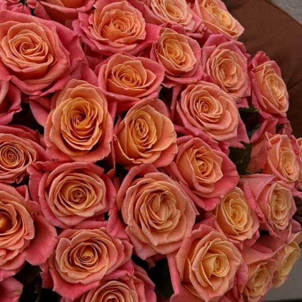 Букет из российской розы «Miss Piggy» 51 шт