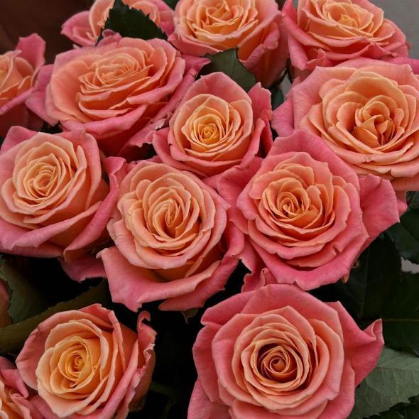 Букет из российской розы «Miss Piggy» 15 шт