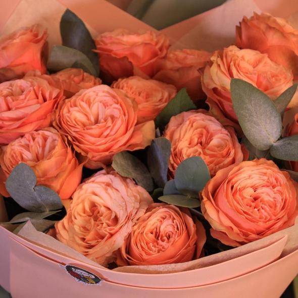 Моно «Kahala с эвкалиптом» 15 шт