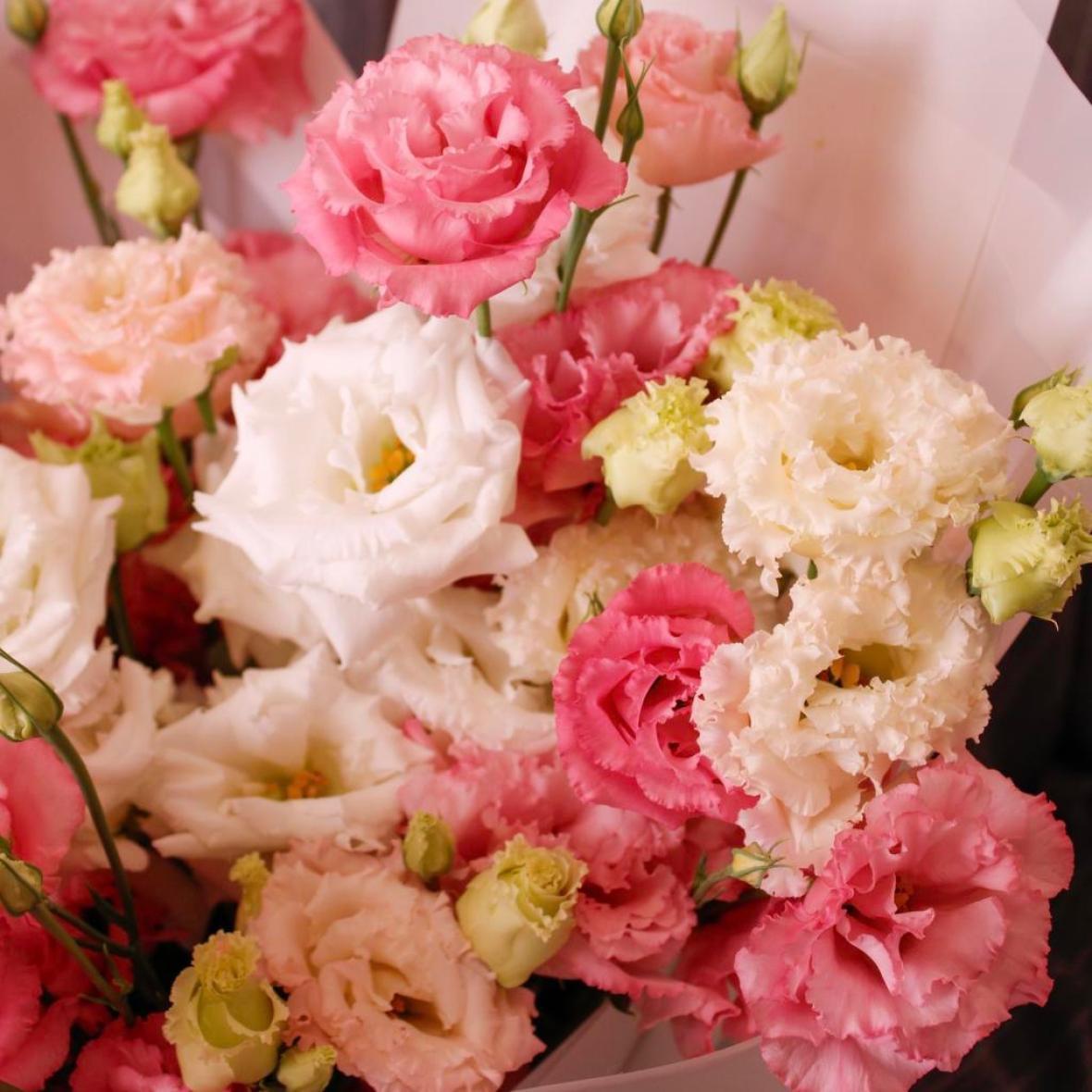 Махровая эустома, 9 шт