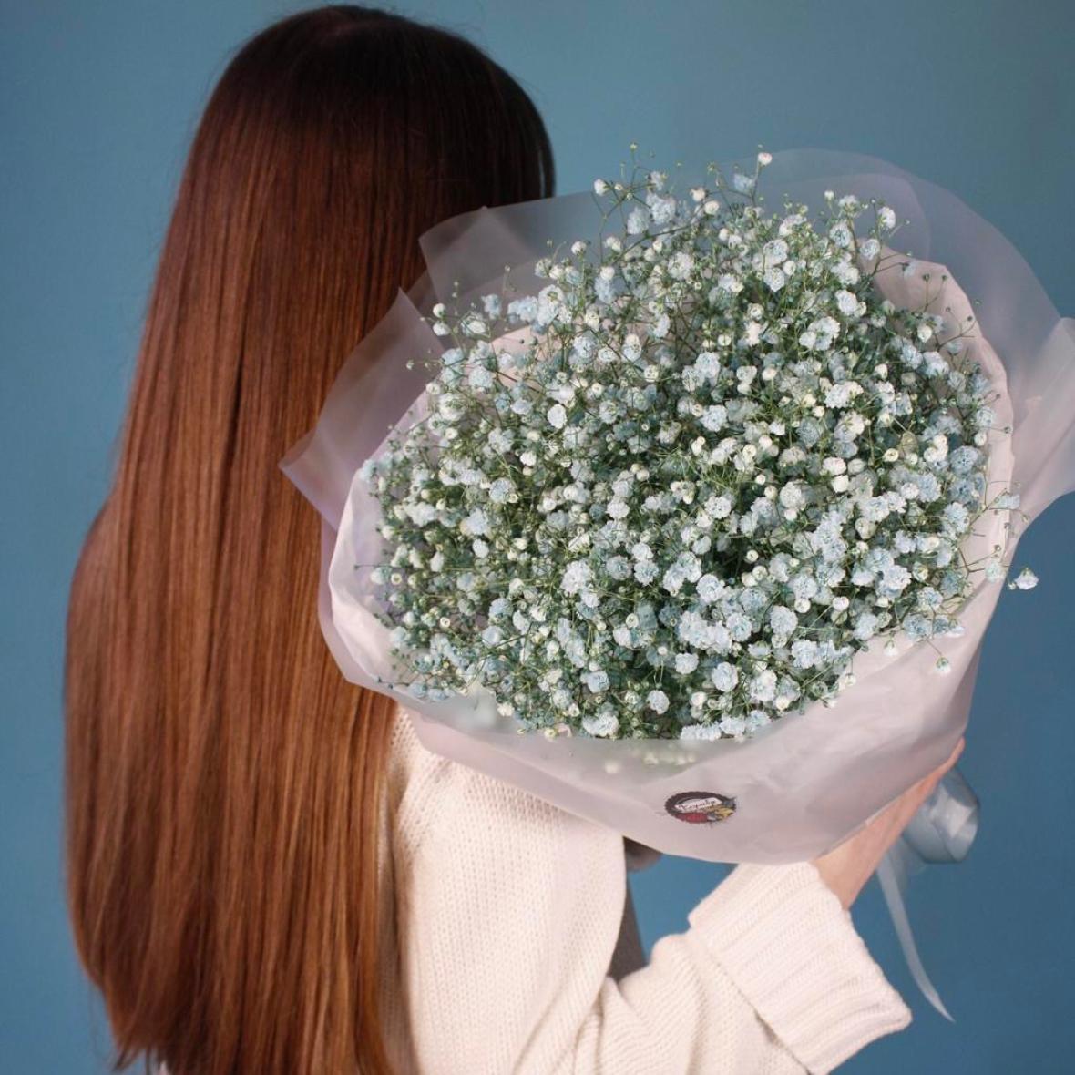 Голубая гипсофила, 7 шт