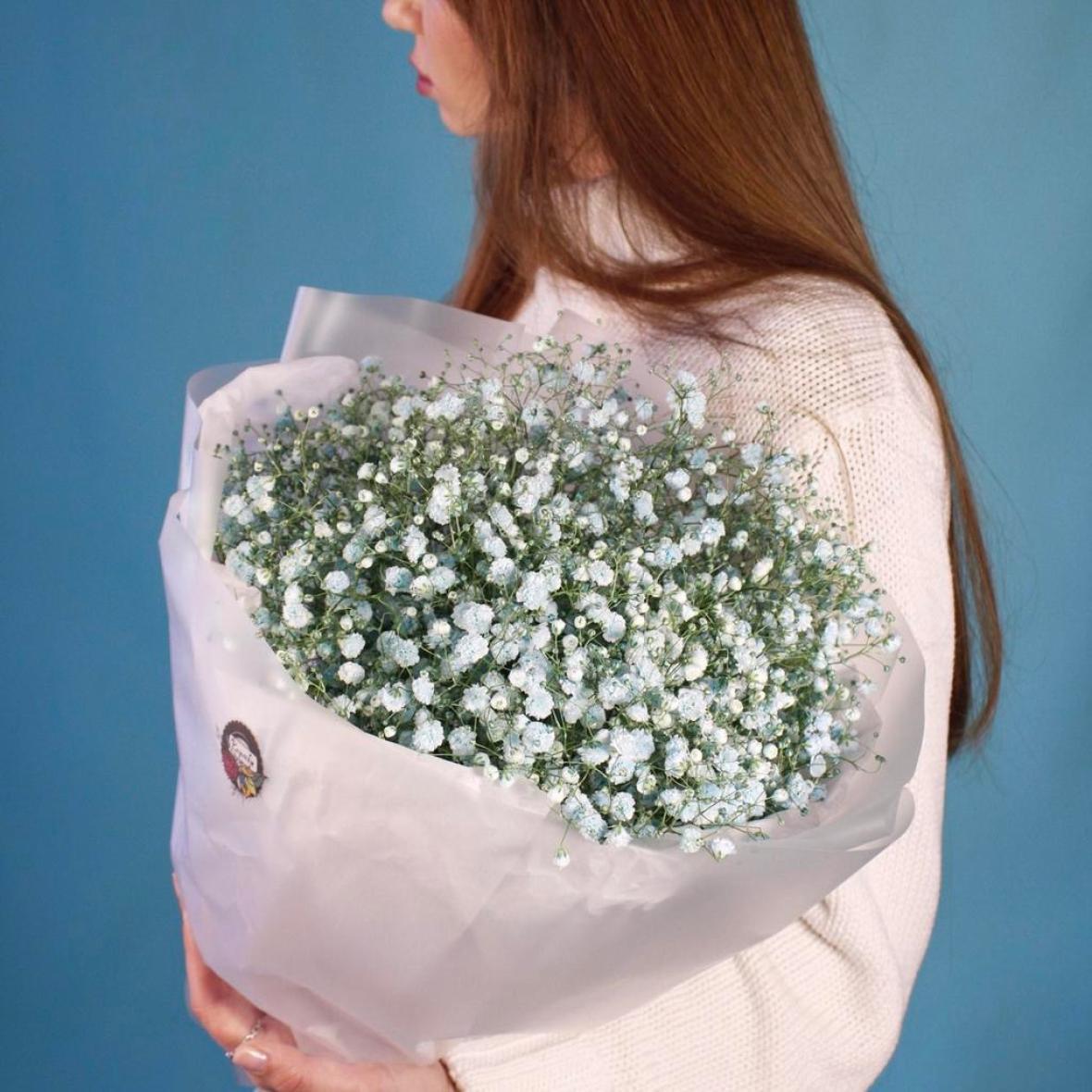 Голубая гипсофила, 7 шт