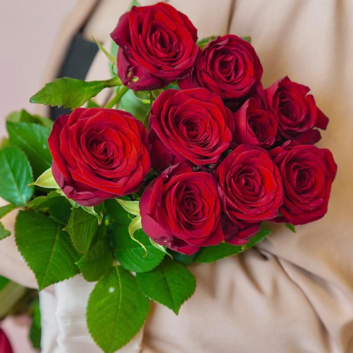 Красные розы, 70 см, 9 шт