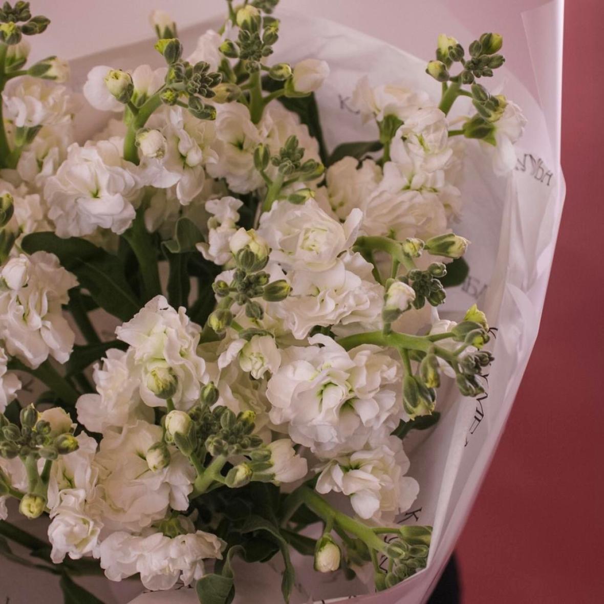 Белая маттиола, 5 шт