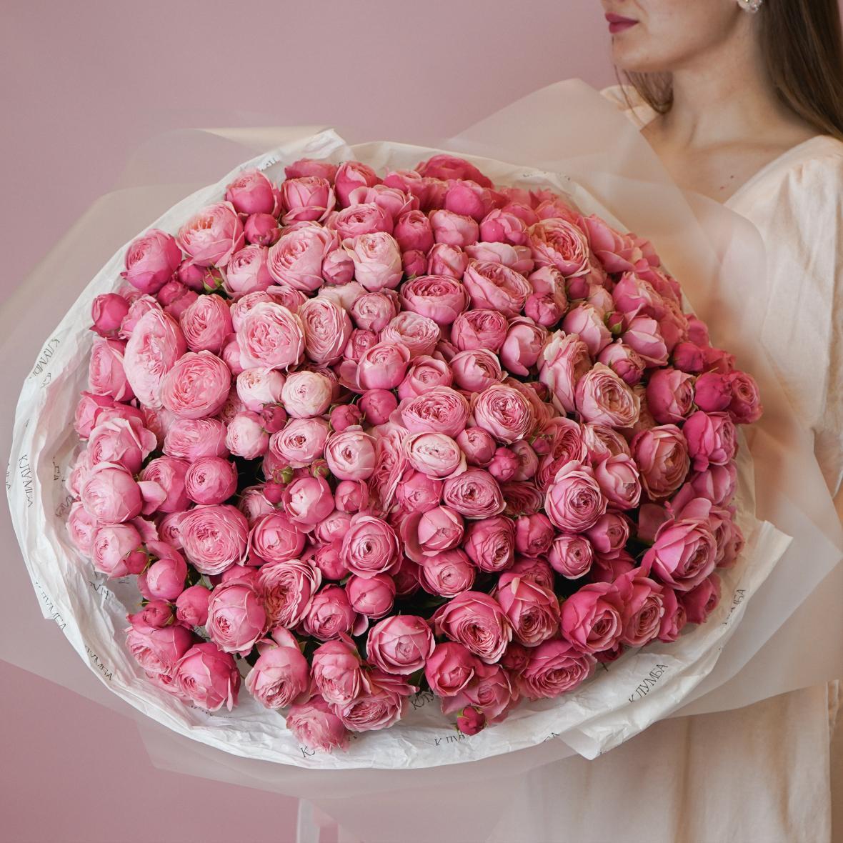 pionovidnye-rozy pionovidnye-rozy