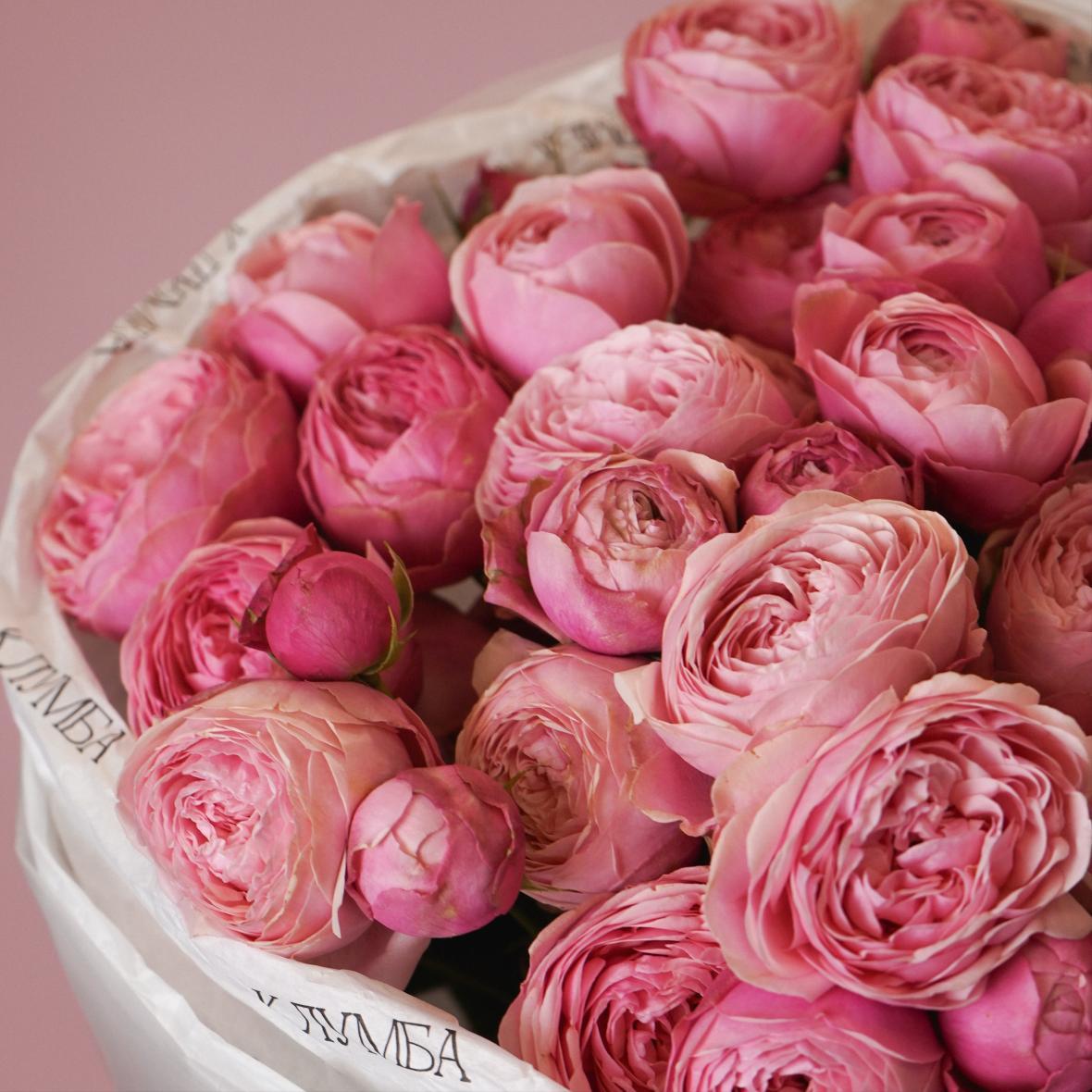 "Сильвия Пинк" 9 шт