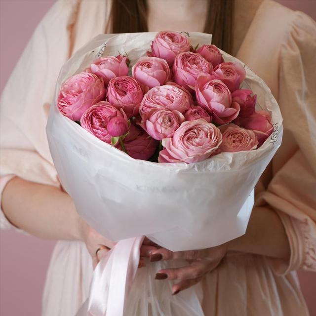 "Сильвия Пинк" 5 шт "Сильвия Пинк" 5 шт