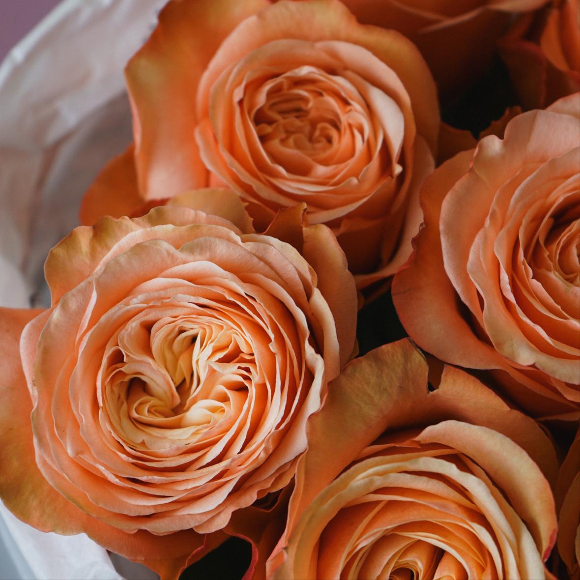 "Казала" 9 шт