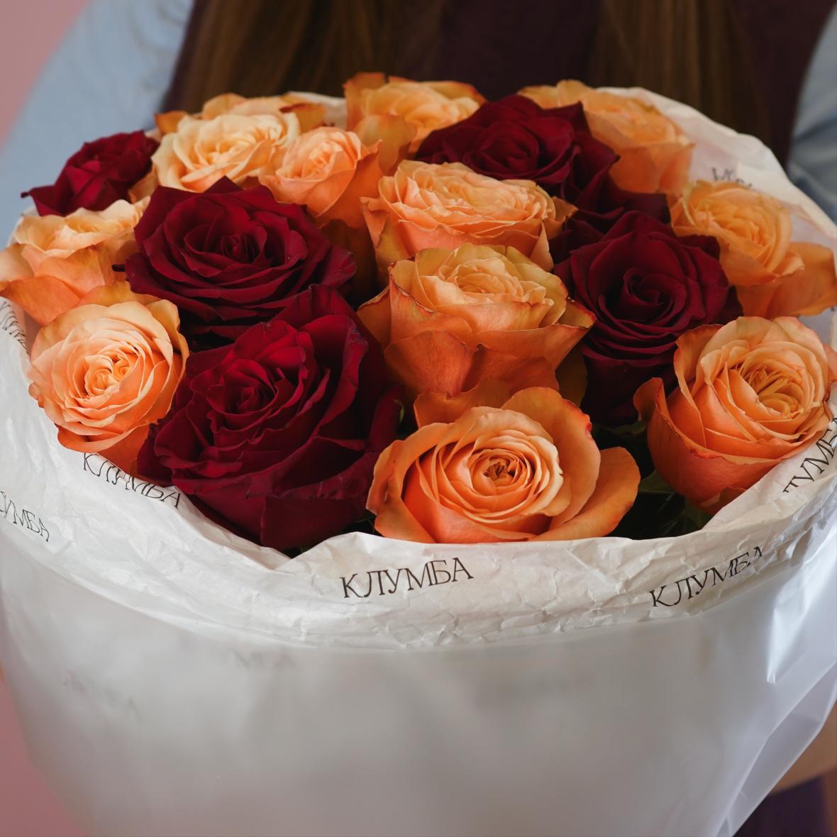 "Кахала и Эксплорер" 17 шт