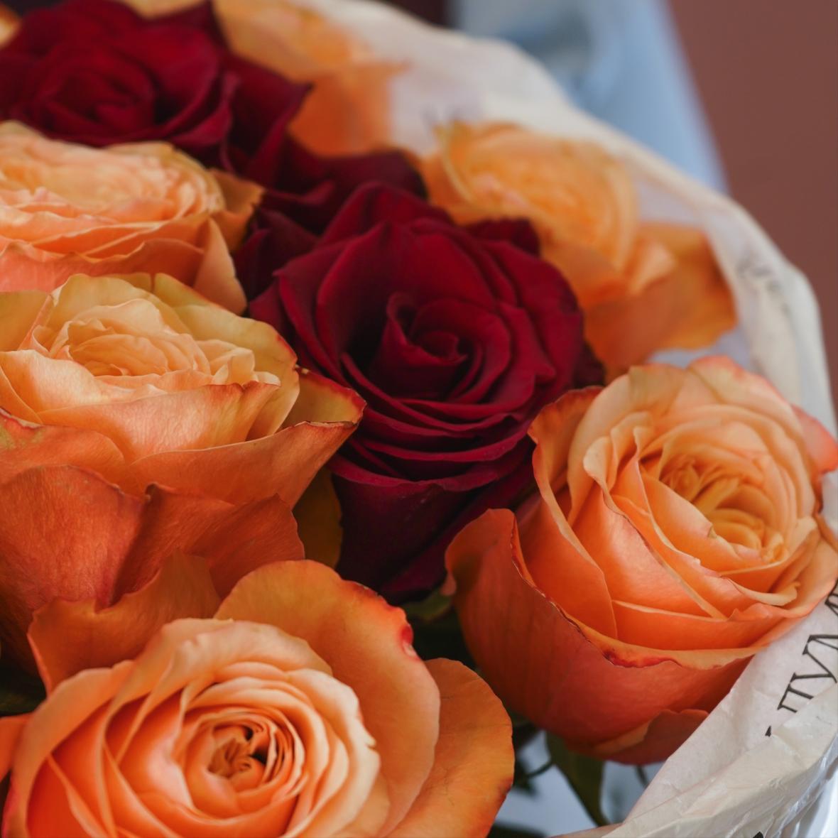 "Кахала и Эксплорер" 17 шт