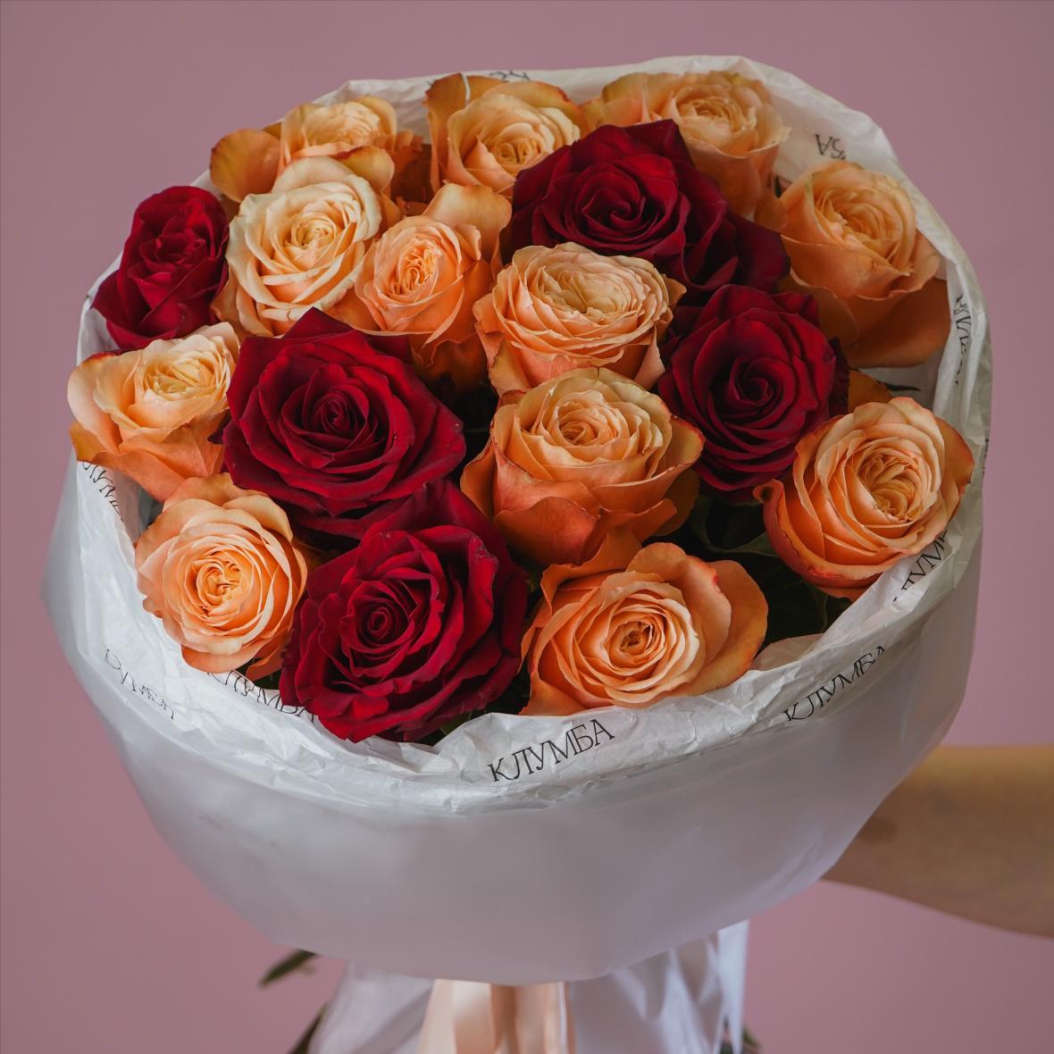 "Кахала и Эксплорер" 17 шт