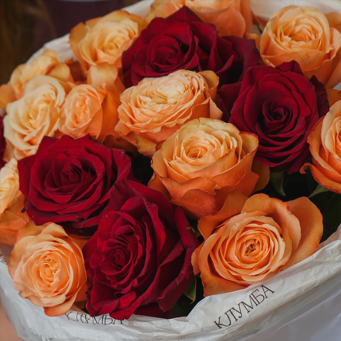 "Кахала и Эксплорер" 17 шт