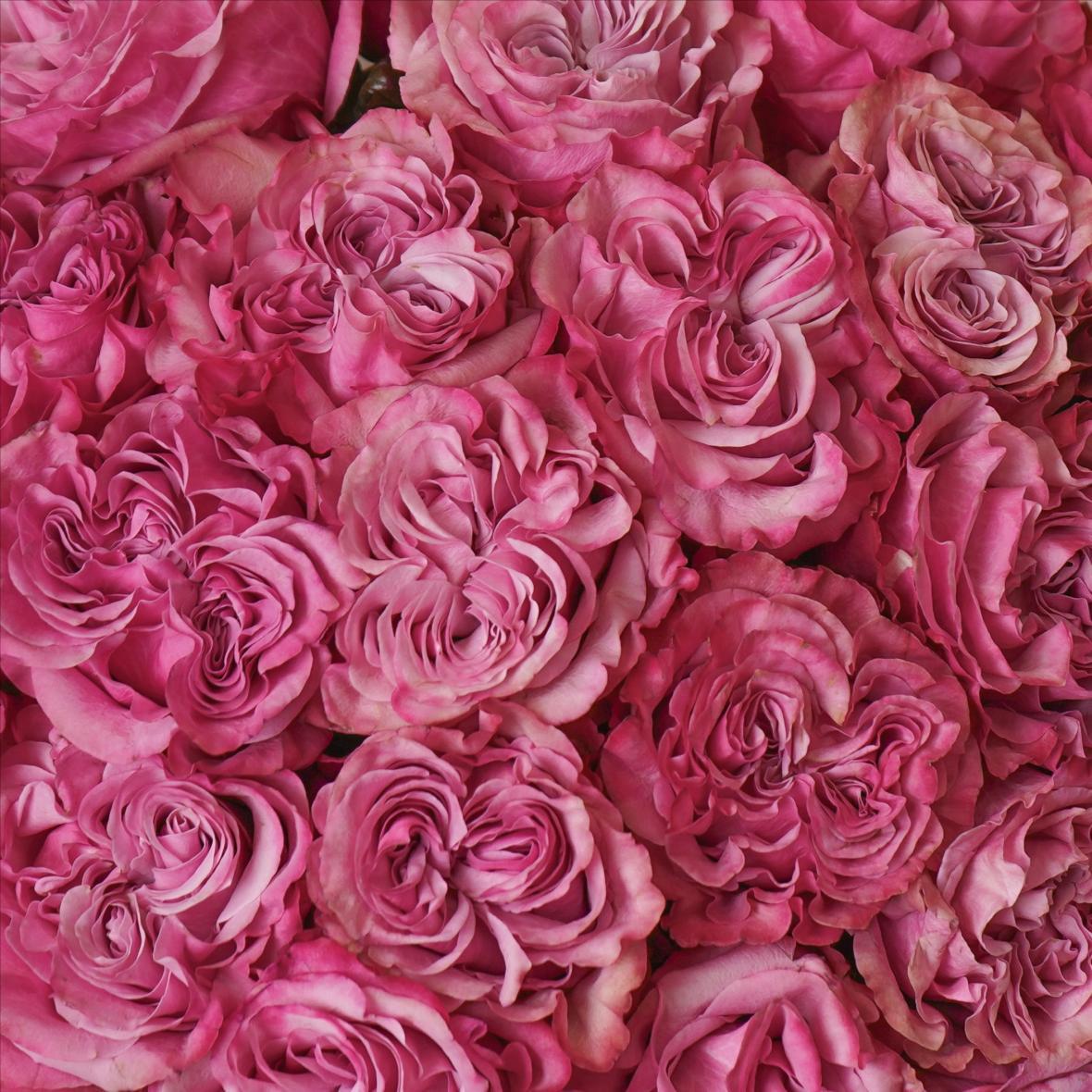 "Кантри Блюз" 23 шт