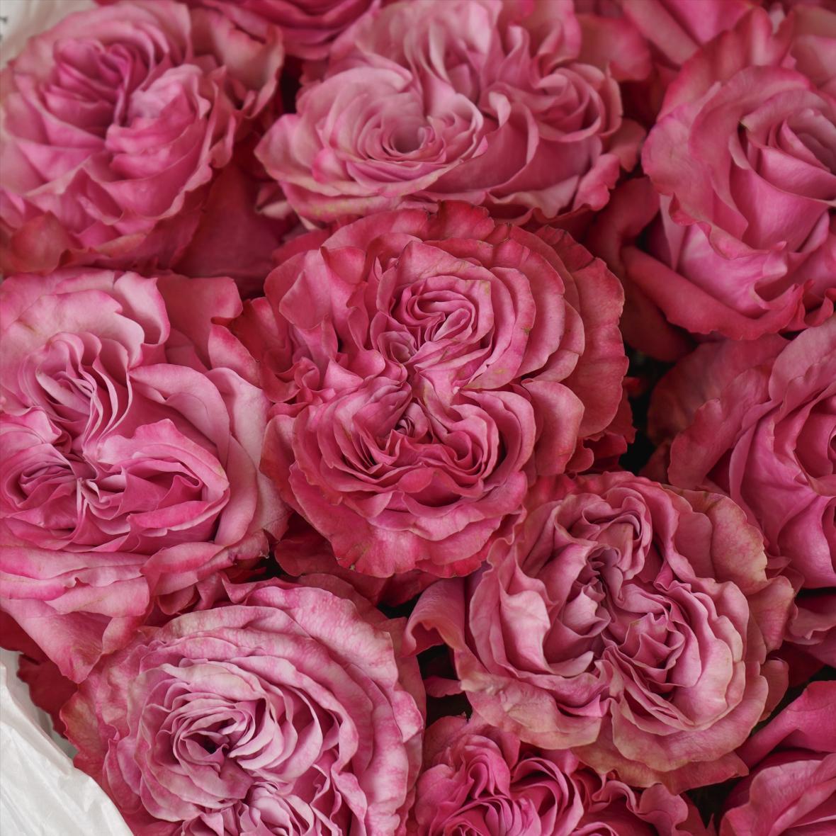 "Кантри Блюз" 15 шт