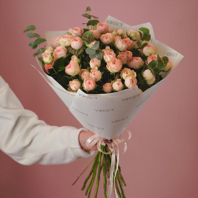 "Кэтти" 15 шт "Кэтти" 15 шт