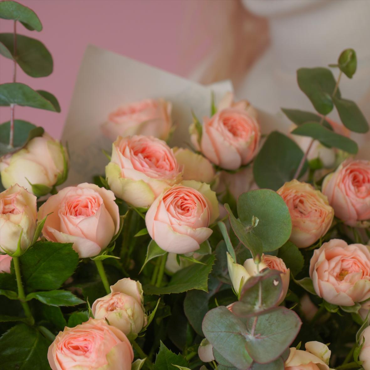 "Кэтти" 15 шт