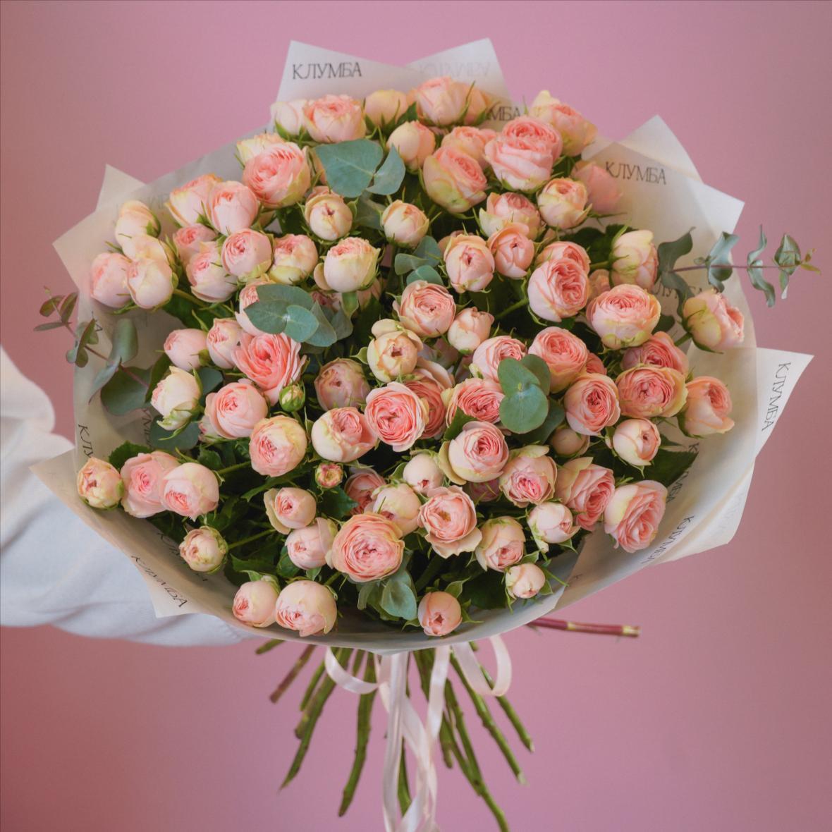 "Кэтти" 25 шт