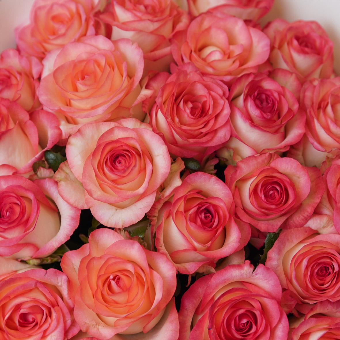 "Джумилия" 25 шт