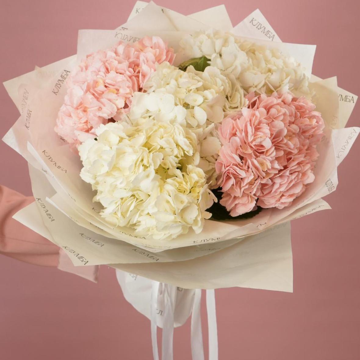 Гортензии, 5 шт