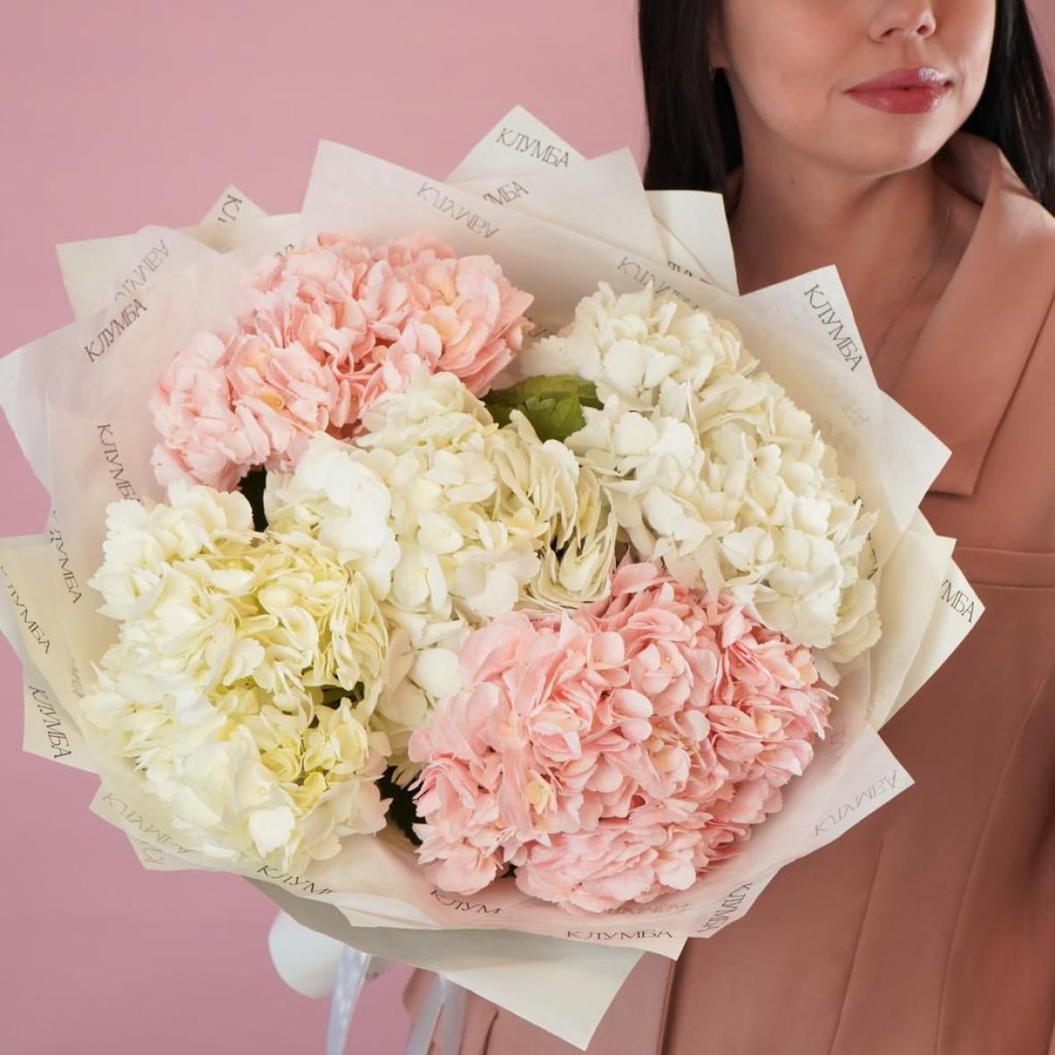 Гортензии, 5 шт