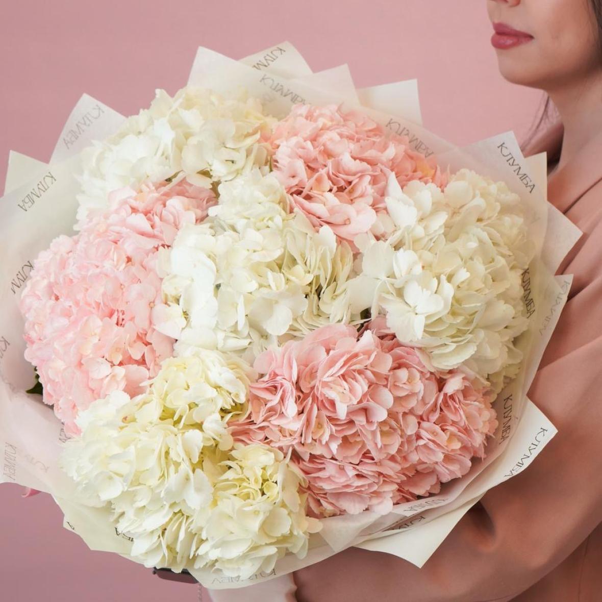 Гортензии, 7 шт