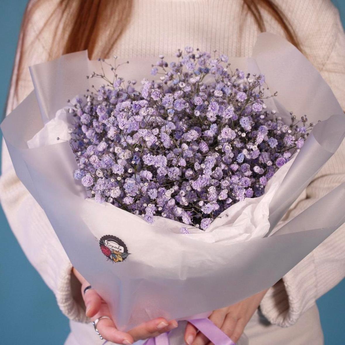 Фиолетовая гипсофила, 7 шт