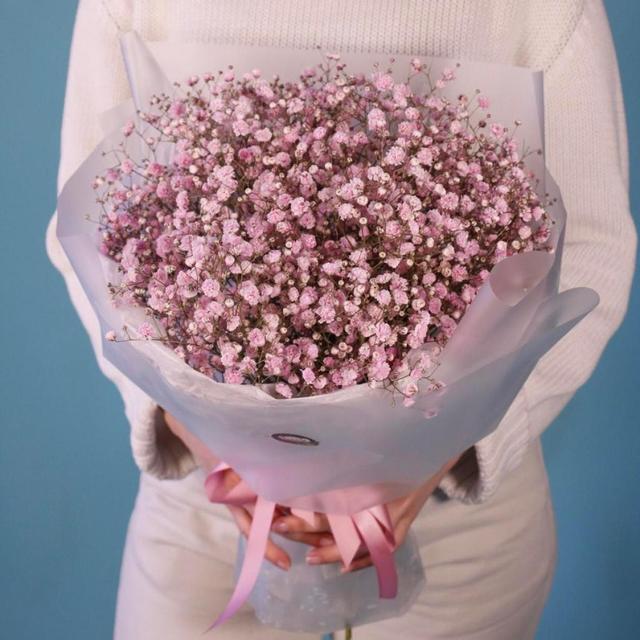 Розовая гипсофила, 7 шт Розовая гипсофила, 7 шт