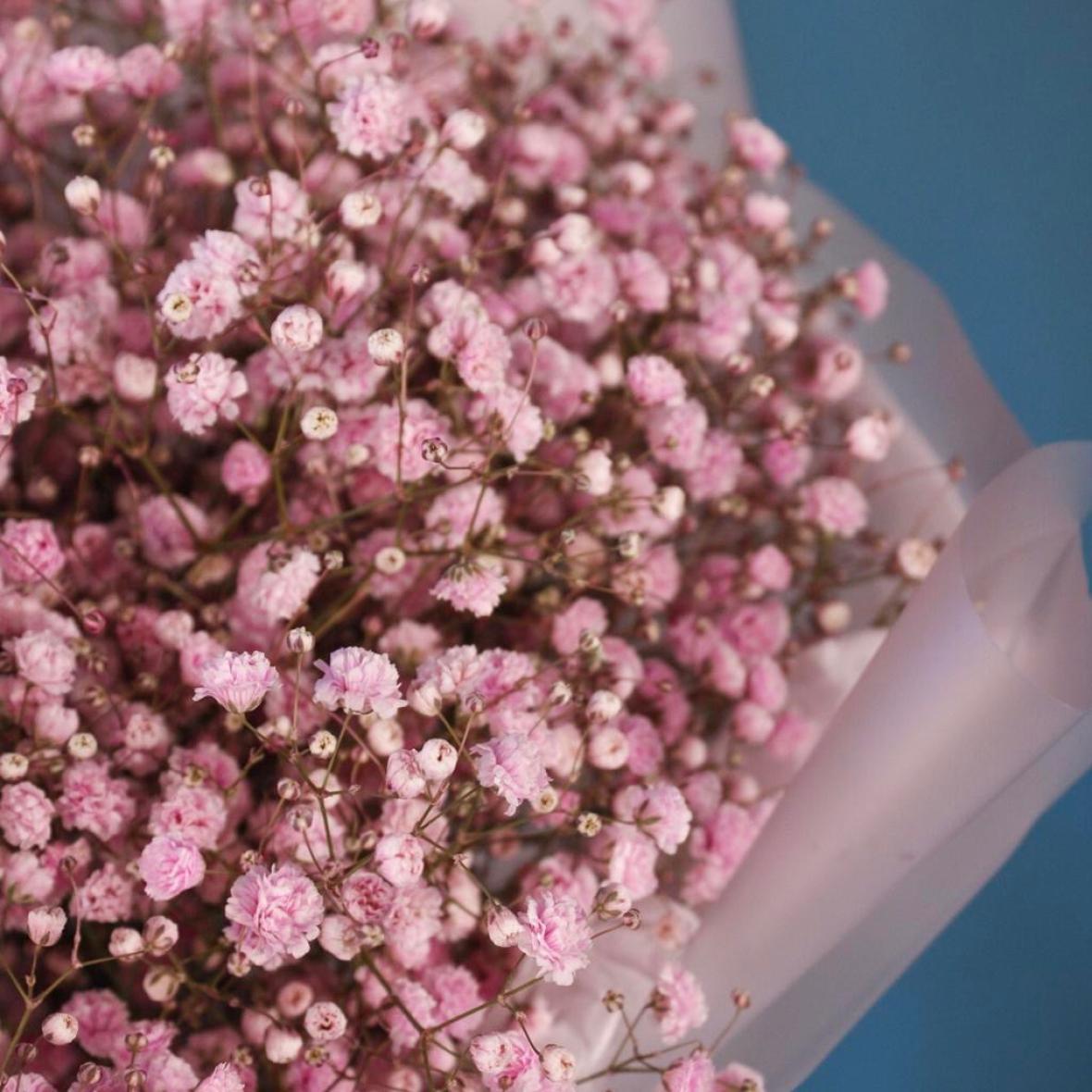 Розовая гипсофила, 7 шт