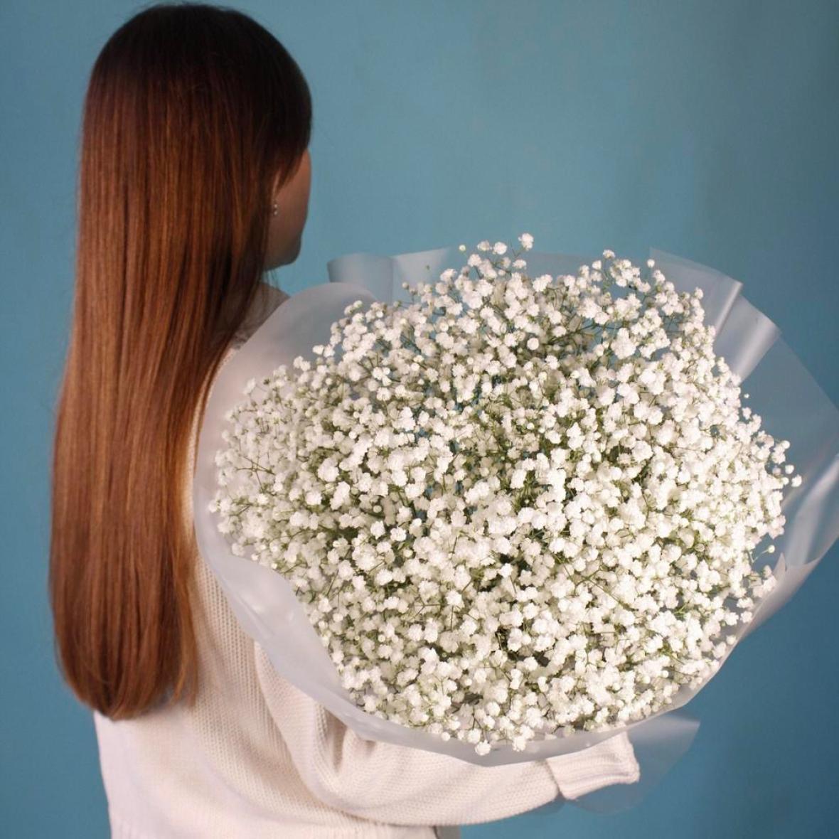 Белая гипсофила, 9 шт